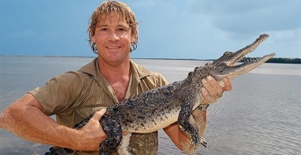 Steve Irwin NAP - november 15.