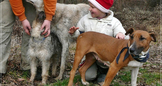 Kedvenc kever&eacute;k kuty&aacute;ink